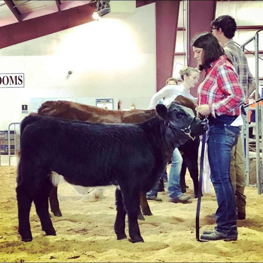 Trumbull Students Raising Blue-Ribbon Animals – CT Ed Watch